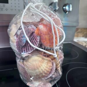 Mixed Bag Natural Sea Shells Crafts Aquarium Beach Cottage Decor Seashells 3.8lb